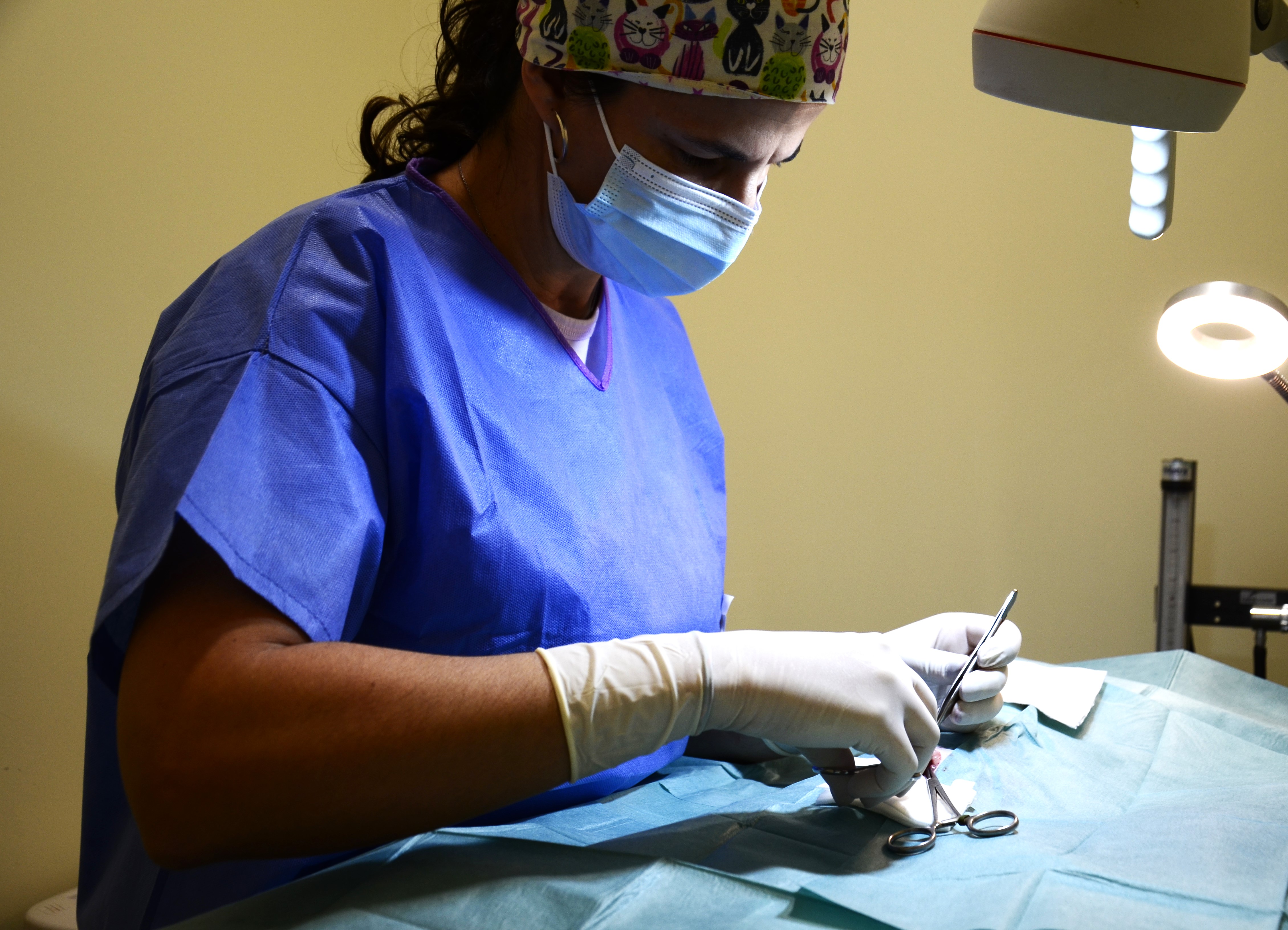 Cirurgia Geral